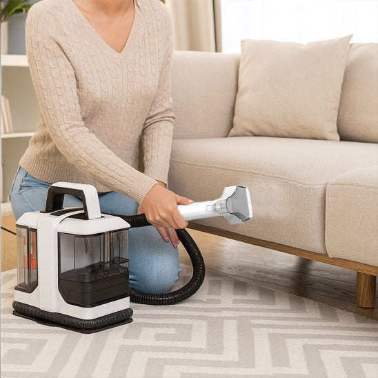 aspirateur poil de chien nettoyage canapé