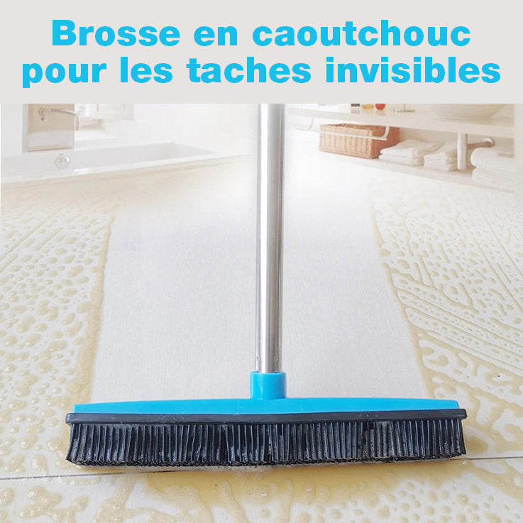 brosse balai nettoyage de poils